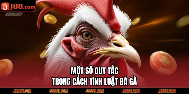 Một số quy tắc trong cách tính luật đá gà